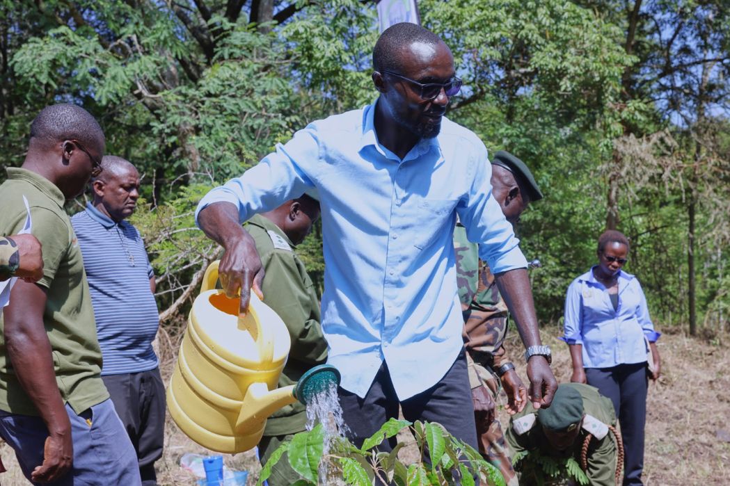  CS LEADS TREE PLANTING IN LAMBWE FOREST