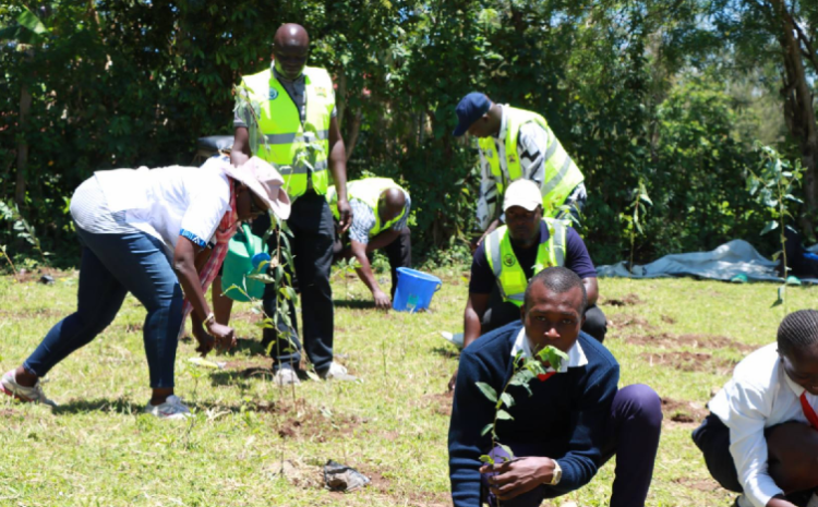  Mazingira Day Celebrations