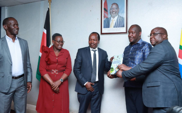  Presentation of Itare bulk water supply scheme